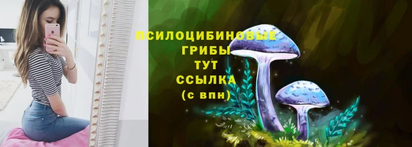 таблы Пестово
