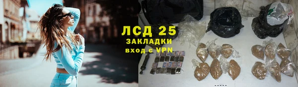 индика Пересвет