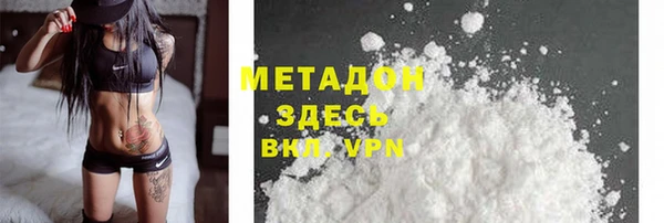 индика Пересвет