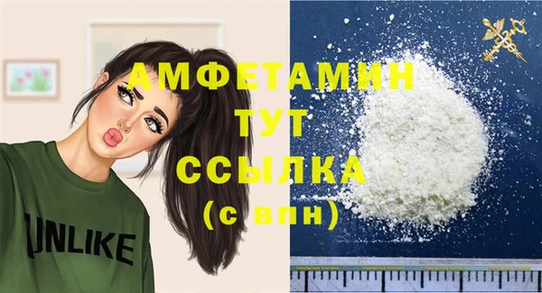 индика Пересвет