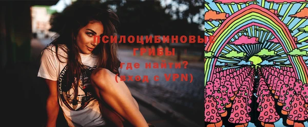 индика Пересвет