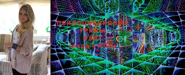 таблы Пестово