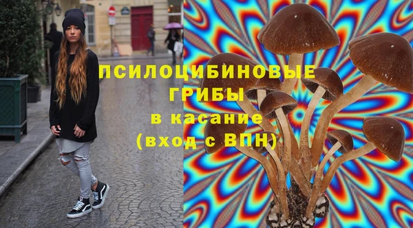индика Пересвет
