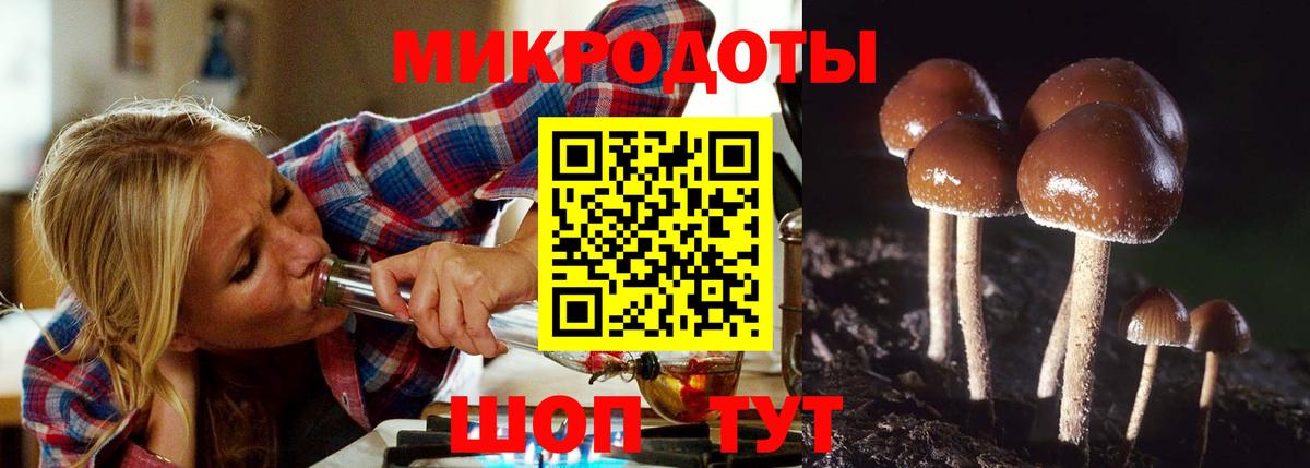Галлюциногенные грибы мицелий  купить   Рославль  Вход с VPN 